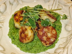 Saffron-Crusted Scallops Over Minted Pea Puree