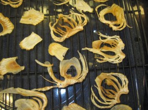 Crispy Fennel Chips
